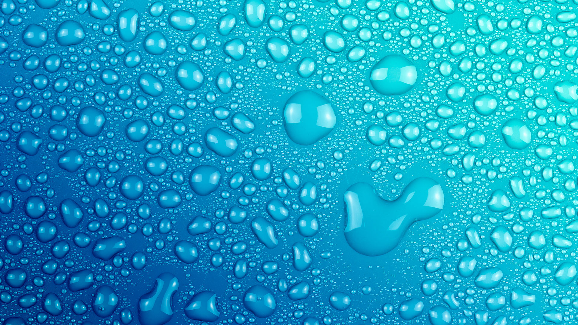 Projects Background